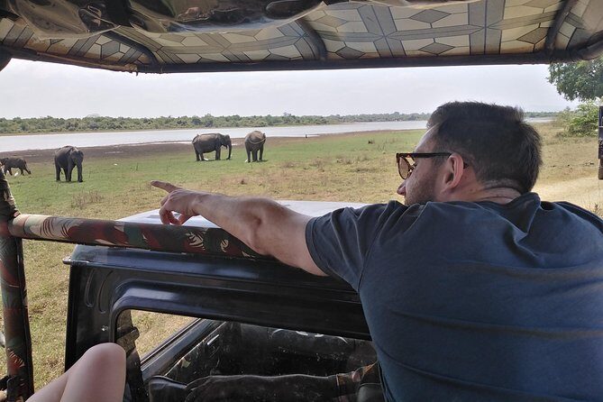 A Udawalawa Park safari, Tour from Colombo/Galle- (All inclusive) - The Journey Begins: Comfort and Convenience