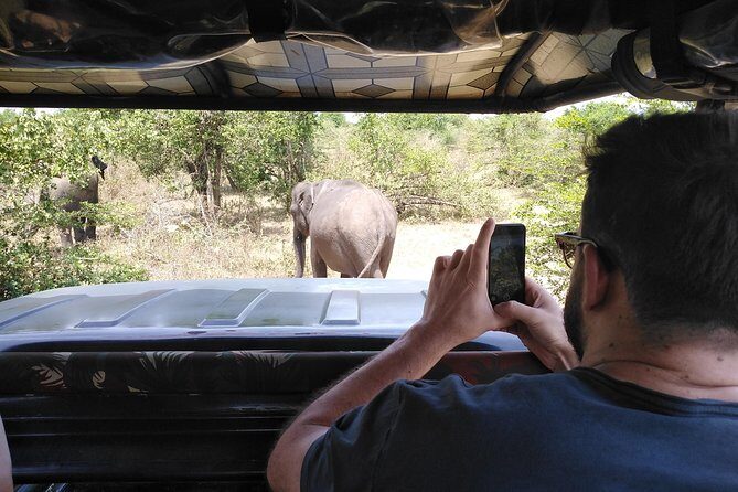 A Udawalawa Park safari, Tour from Colombo/Galle- (All inclusive) - The Experience: What You Might Expect