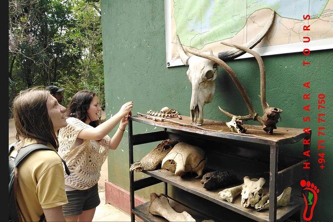 A Udawalawa Park safari, Tour from Colombo/Galle- (All inclusive) - Practical Tips for Making the Most