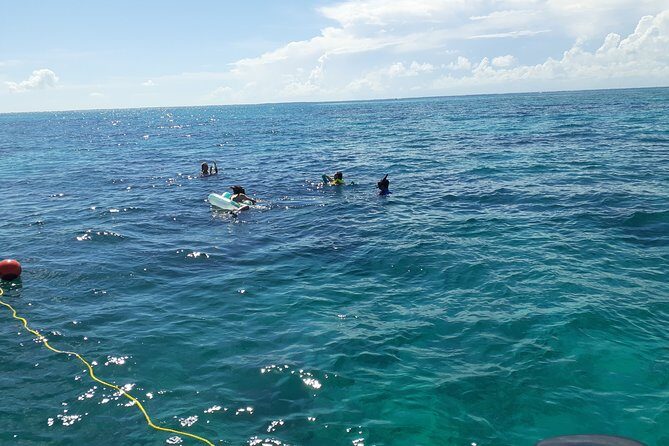 A Unique Private Snorkel Tour of Key Largo - Why Choose This Private Snorkel Tour?