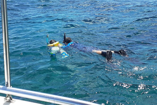 A Unique Private Snorkel Tour of Key Largo - What the Reviews Say