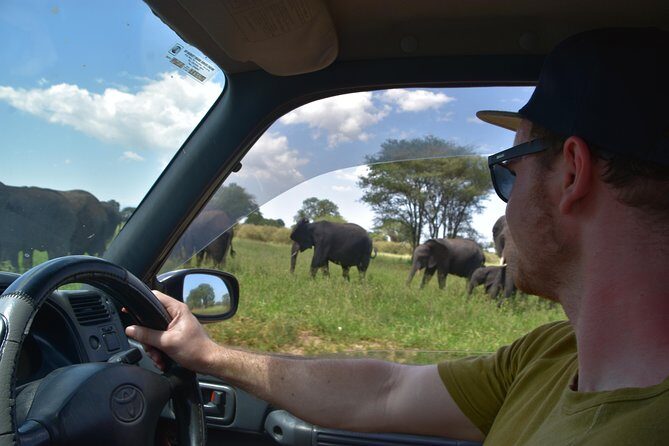 A Visit to The Giants in Tarangire NP. - An In-Depth Look at the Tour Experience