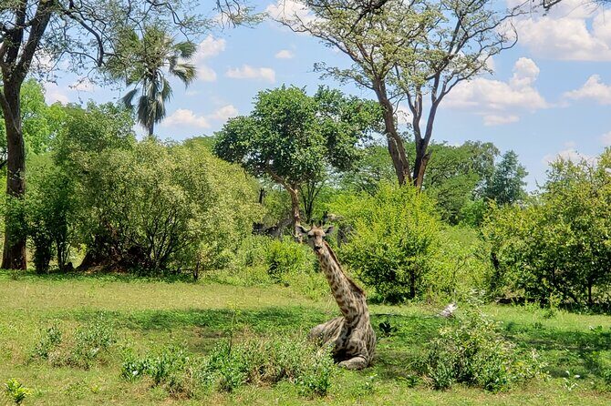A Walking Safari in the Mosi -oa - Tunya National Park - Final Thoughts