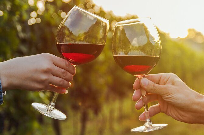 A Wine Tasting Experience in the Vineyards of the Desert - An In-Depth Look at the Tour Experience