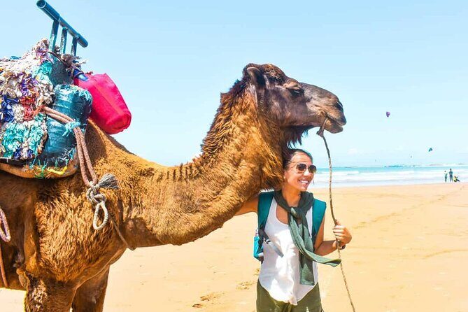 A wonderful day in Essaouira from Marrakech - Value Analysis