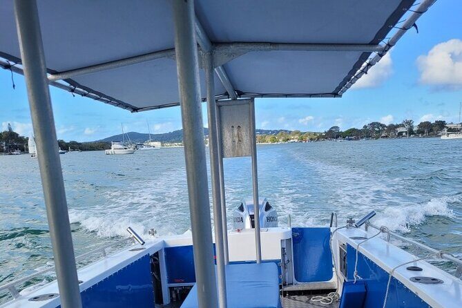 AAA Noosa National Park Tour and Dolphin Safari Whalesongsnoosa - Special Offers and Seasonality