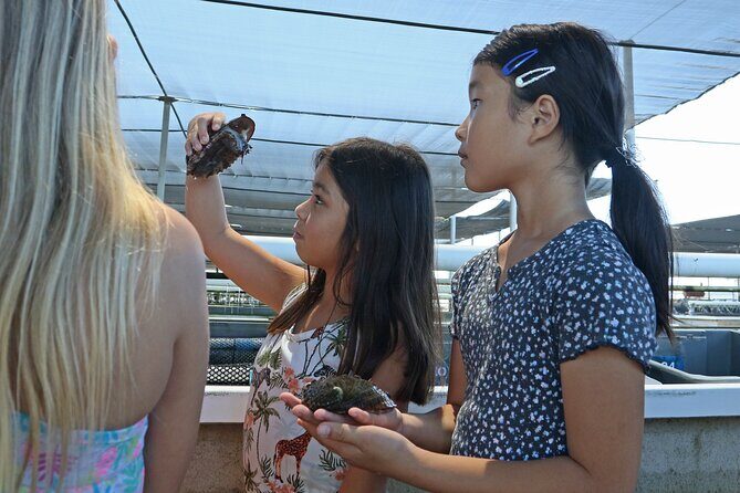 Abalone Farm Tour - Setting the Scene: What to Expect from the Abalone Farm Tour