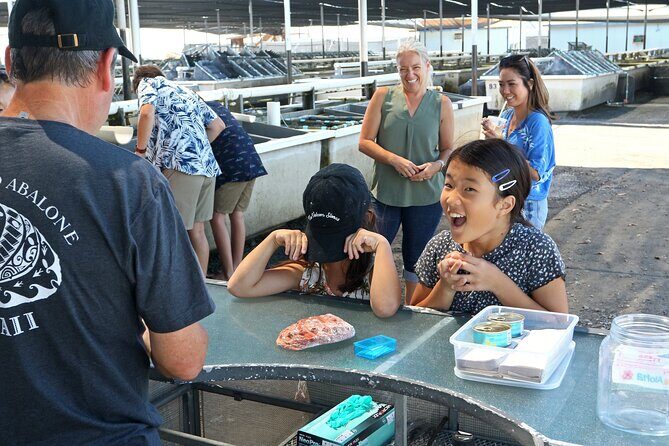Abalone Farm Tour - FAQ