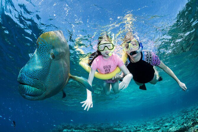 ABC Reef Safaris - Why This Tour Is a Great Value