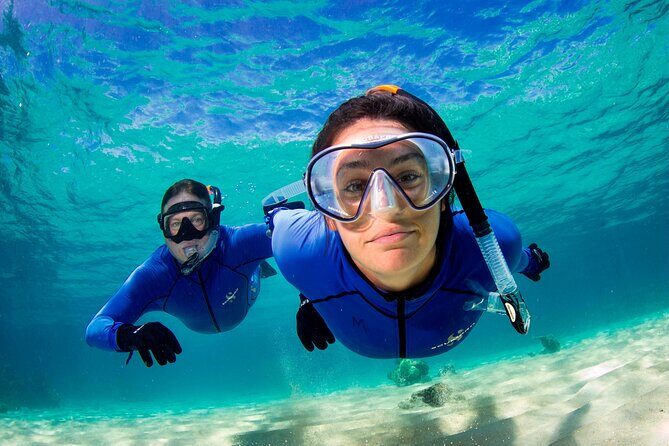 ABC Reef Safaris - Who Will Love It?