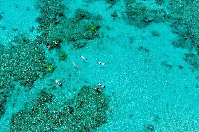 ABC Reef Safaris - In Summary