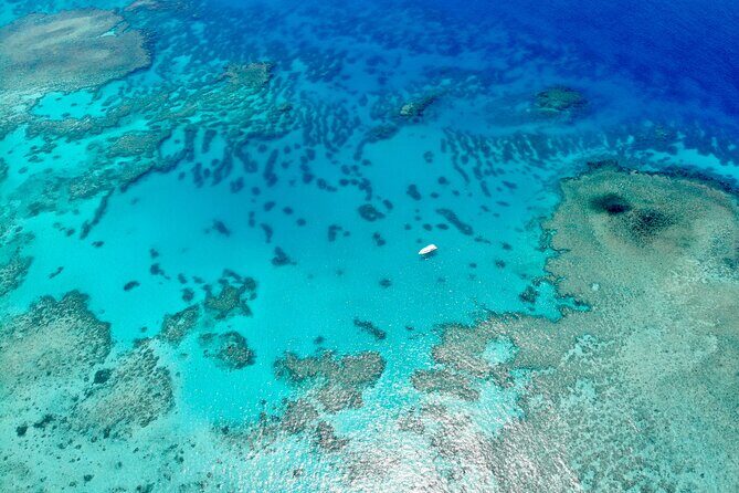 ABC Reef Safaris - Final Thoughts