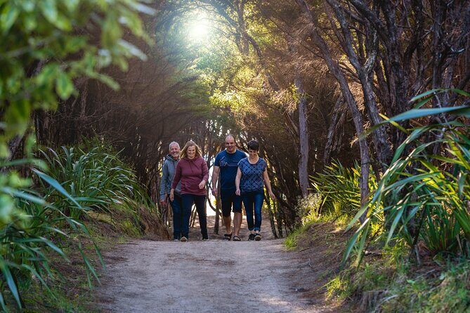 Abel Tasman Heli-Hike - The Itinerary: What to Expect