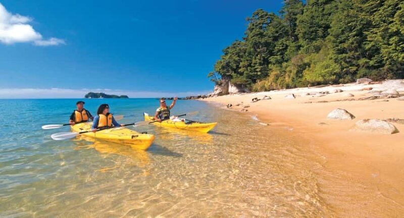 Abel Tasman Kayaks: 1 Day Freedom Kayak Rental - Exploring Abel Tasman with a Self-Guided Kayak