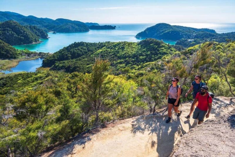 Abel Tasman National Park: Cruise, Kayak, & Hike Tour - The Coastal Walk