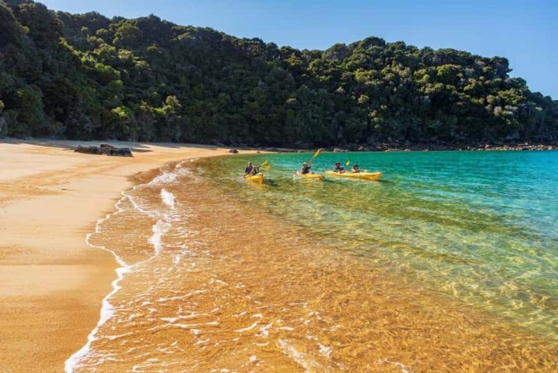Abel Tasman National Park: Cruise, Kayak, & Hike Tour - The Sum Up