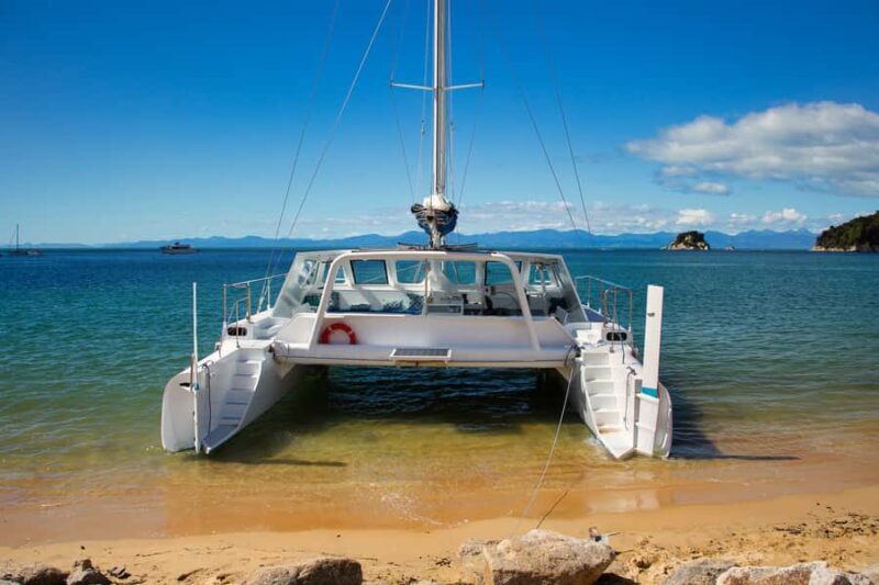 Abel Tasman National Park: Sailing and Self-Guided Walk - A Detailed Look at the Abel Tasman Sailing and Self-Guided Walk Tour