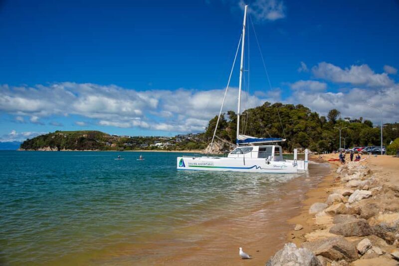 Abel Tasman National Park: Self-Guided Walk & Sailing - The Sum Up: A Balanced Day in Abel Tasman