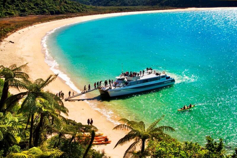 Abel Tasman: Sea Shuttle Cruise and Walking Tour Combo - An in-depth look at the tour experience