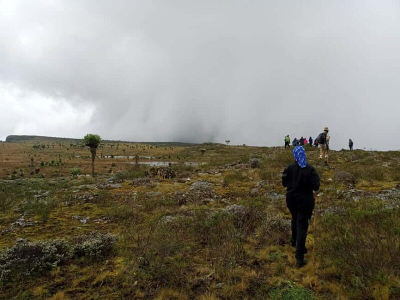 Aberdare National Park: 3-Day Guided Hiking Tour - Introduction