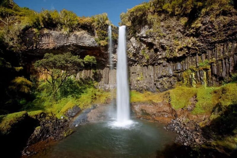 Aberdare National Park: 3-Day Guided Hiking Tour - Why This Tour Is Worth Considering
