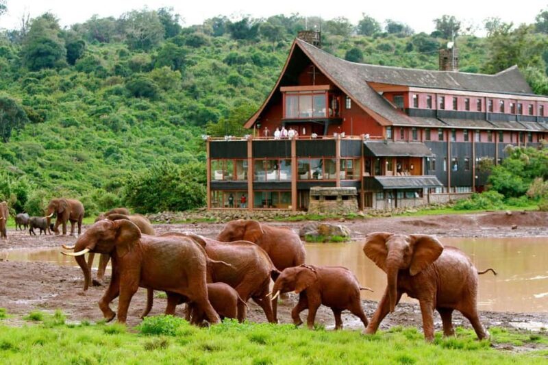 Aberdare National Park Tour From Nairobi - Key Points