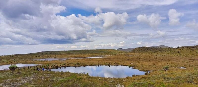 Aberdares: Seven Ponds Guided Hike with Views - Key Points