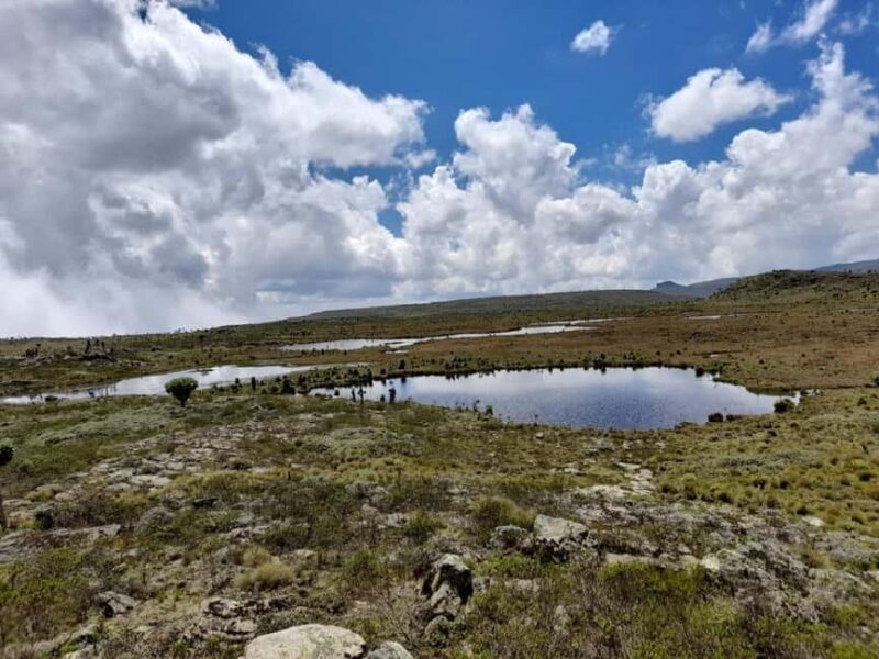 Aberdares: Seven Ponds Guided Hike with Views - Final Thoughts