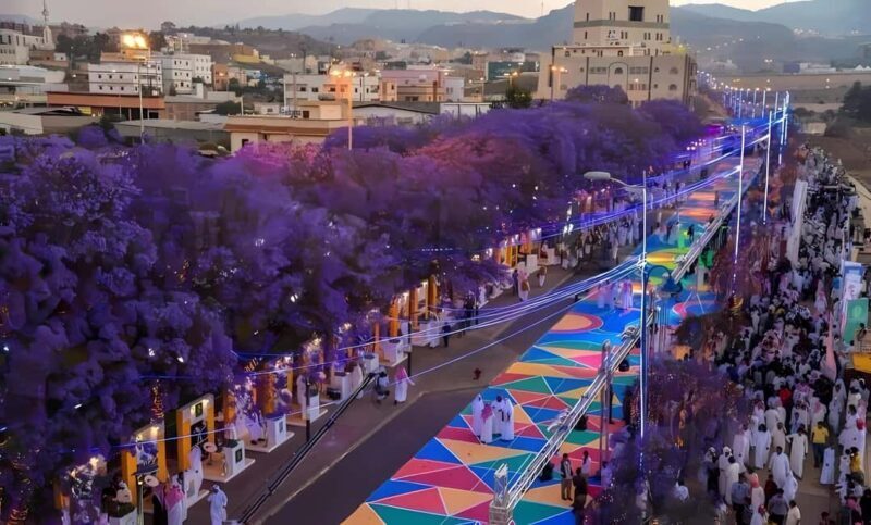 Abha: Guided Tour with Gardens, Art Street, & Shamsan Castle - Mountain Adventure and Cultural Highlights