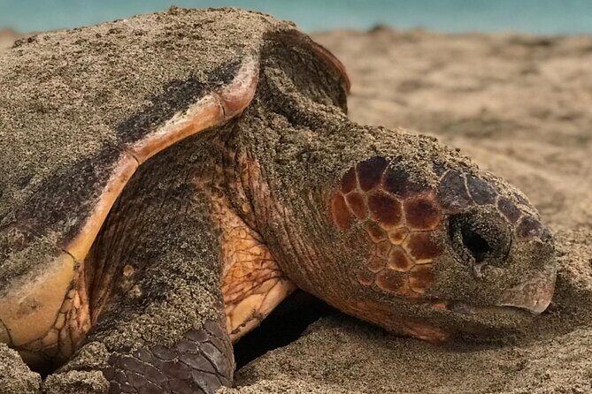 Abraço Salgadinho - Sal Island Tour - An In-Depth Look at the Sal Island Tour
