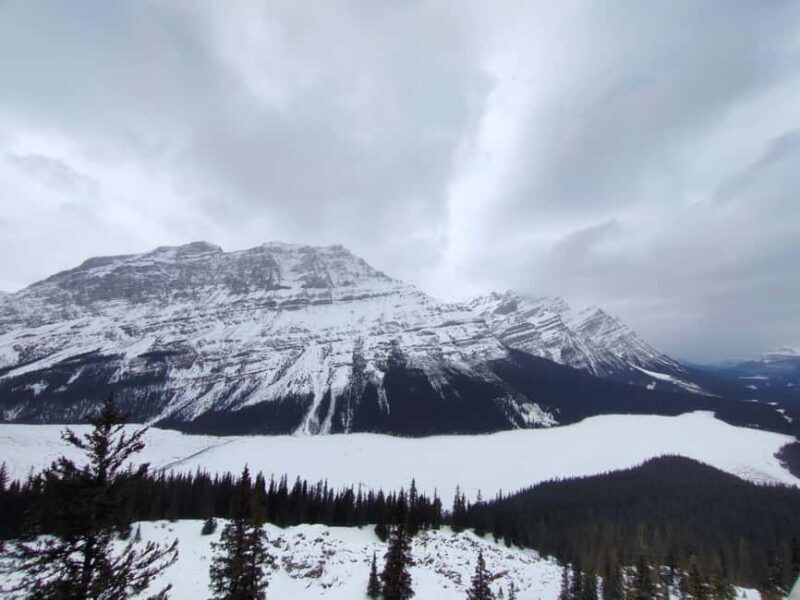 Abraham ice bubble lake/Sunwapta Falls Peyto Lake Bow Lake - The Sum Up: Who Should Book This Tour?