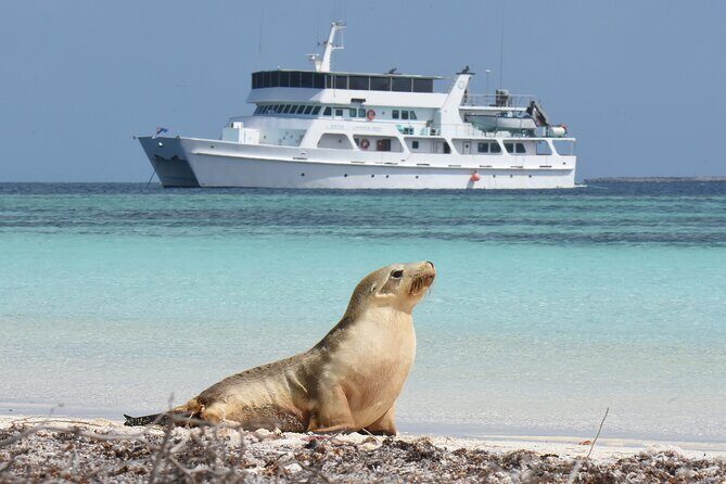 Abrolhos Islands 5 Day Cruise - Frequently Asked Questions