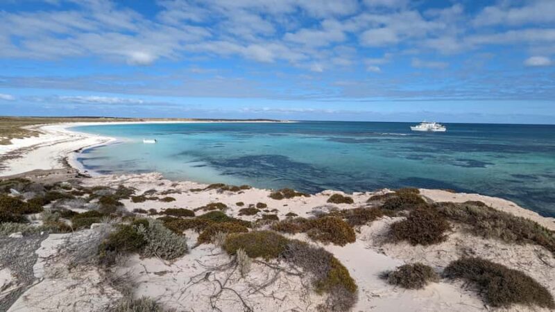 Abrolhos Islands 5 Day Cruise & Fly from Geraldton - The Value Proposition