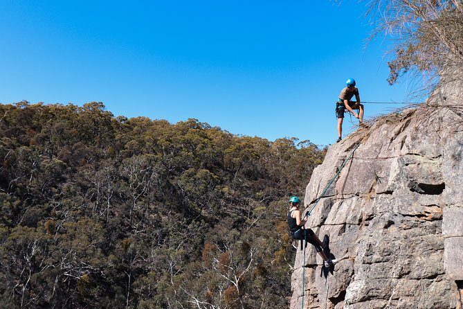 Abseiling Adventure in Adelaide - Authentic Insights from Past Participants