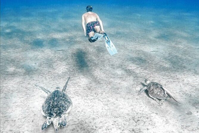 Abu Dabbab Beach Full Day Trip with Turtles - Balancing Expectations with Reality