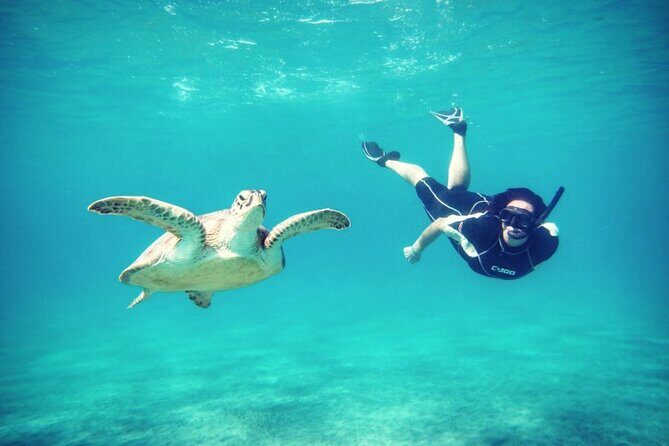 Abu Dabbab Beach Full Day Trip with Turtles - FAQs