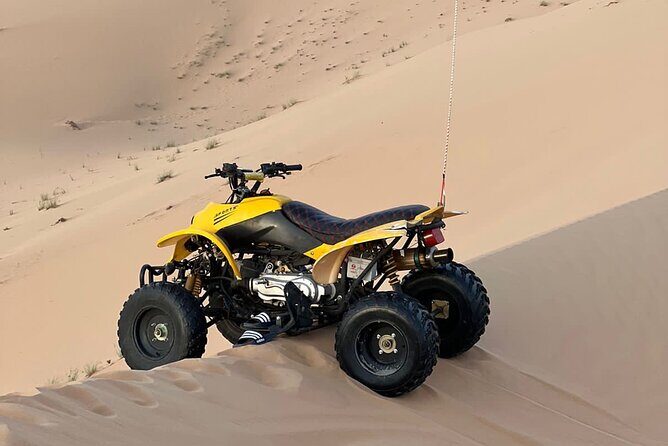Abu Dhabi: 4-Hour Morning Safari with Camel Ride & Sand boarding - Key Points
