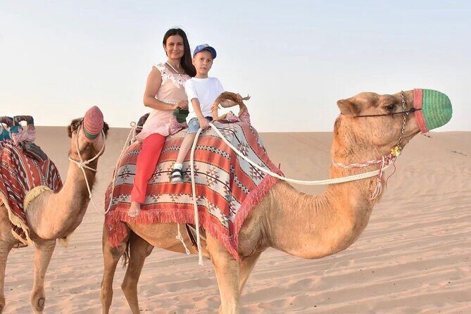 Abu Dhabi: 4-Hour Morning Safari with Camel Ride & Sand boarding - Who Should Consider This Tour