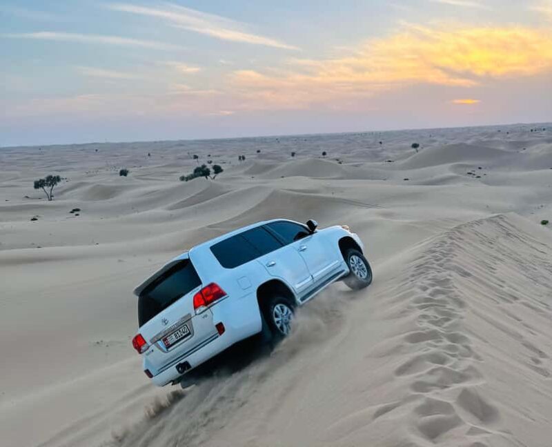 Abu Dhabi: Magical 4x4 Desert Tour Camel Ride & Sandboarding - An In-Depth Look at the Desert Experience