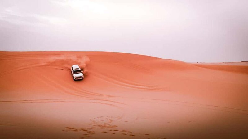 Abu Dhabi: Morning Dune Drive, Camel Ride & Sandboarding - What’s Included and What to Expect