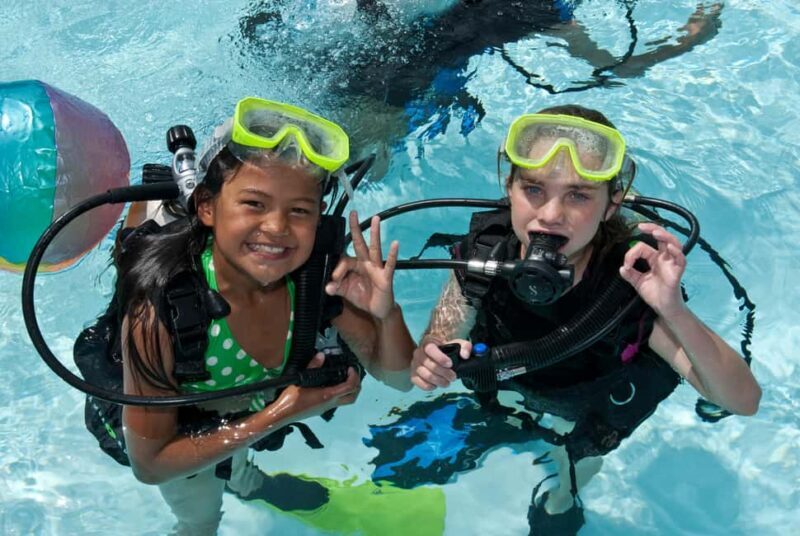 Abu Dhabi: PADI Discover Scuba Diving Program - Diving into the Details: What to Expect from the Experience