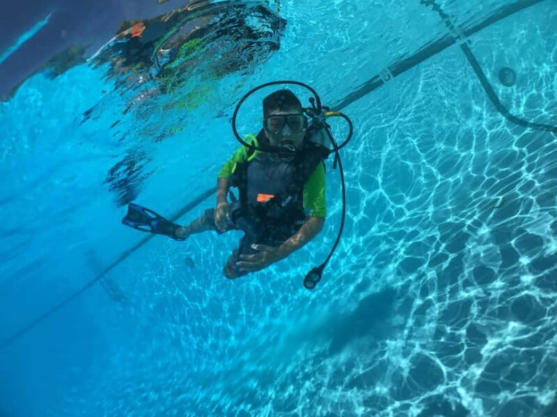 Abu Dhabi: PADI Discover Scuba Diving Program - The Value of the Experience