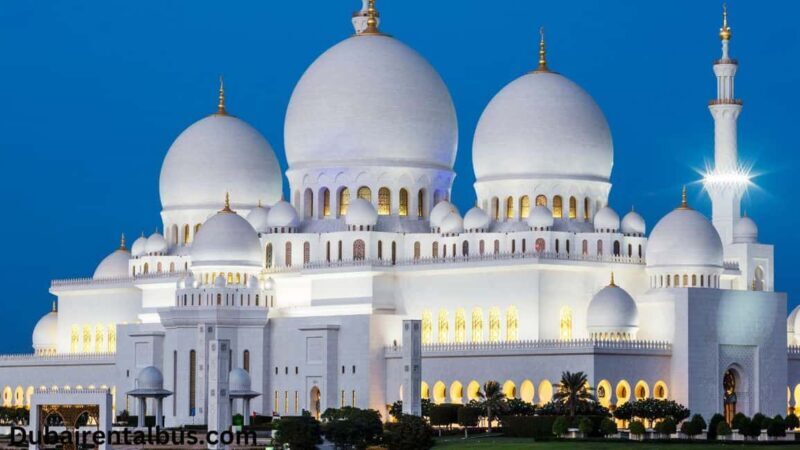 Abu Dhabi: Private Car and Driver for 8 Hours City Tour - Final Thoughts