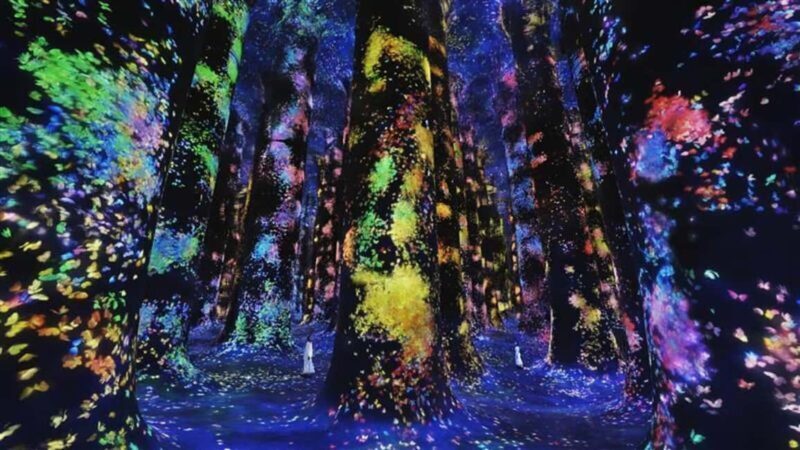 Abu Dhabi: teamLab Phenomena Entry Ticket - What is teamLab Phenomena Abu Dhabi?