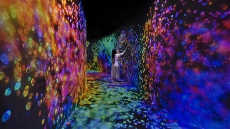 Abu Dhabi: teamLab Phenomena Entry Ticket - What to Expect During Your Visit