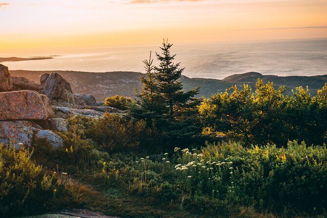 Acadia Cadillac Mountain Sunrise Half Day Private Tour & Hike - Why Choose the Cadillac Mountain Sunrise Tour?