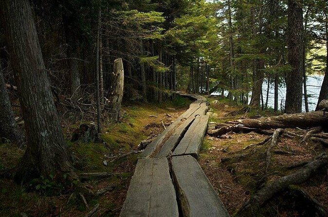 Acadia Cadillac Mountain Sunrise Half Day Private Tour & Hike - Practical Tips for Travelers
