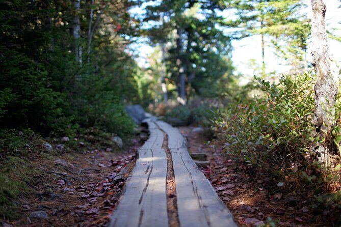 Acadia Full Day Private Tour and Hike - An In-Depth Look at the Acadia Full-Day Private Tour