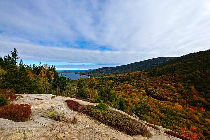 Acadia Full Day Small Group Tour - A Deep Dive into the Acadia Full Day Small Group Tour