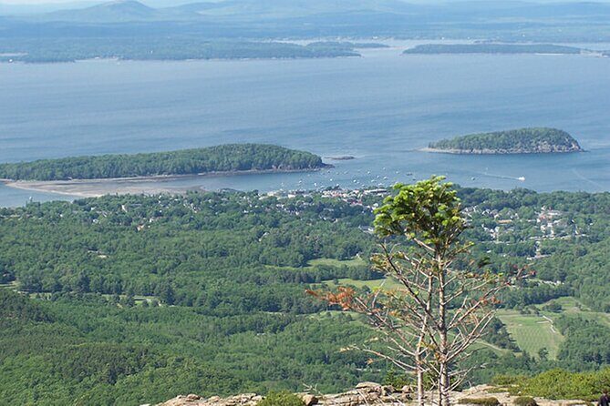 Acadia National Park & Boston 3-Day Tour from NYC | Kids 50% Off - A Closer Look at the Itinerary